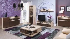 CLEVER system Skotniki, Gałków Duży, Nowosolna