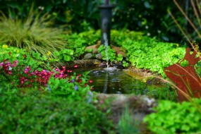  Elementy wodne w ogrodzie
